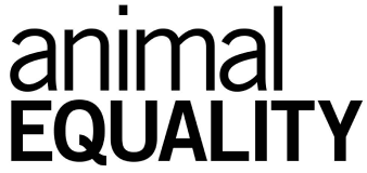 Animal equality logo on a white background, optimized for SEO.