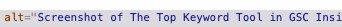 screenshot of alt text saying screenshot of the top keyword tool in GSC ...