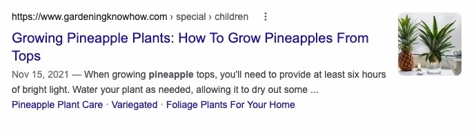 Learn how to grow pineapple plants from tops with this SEO-optimized guide from our glossary.