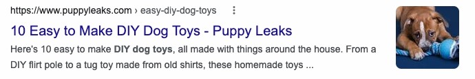Discover 10 simple DIY puppy leashes.