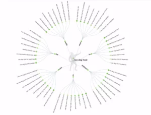 Screenshot of Answer the Public raw dog food inquery